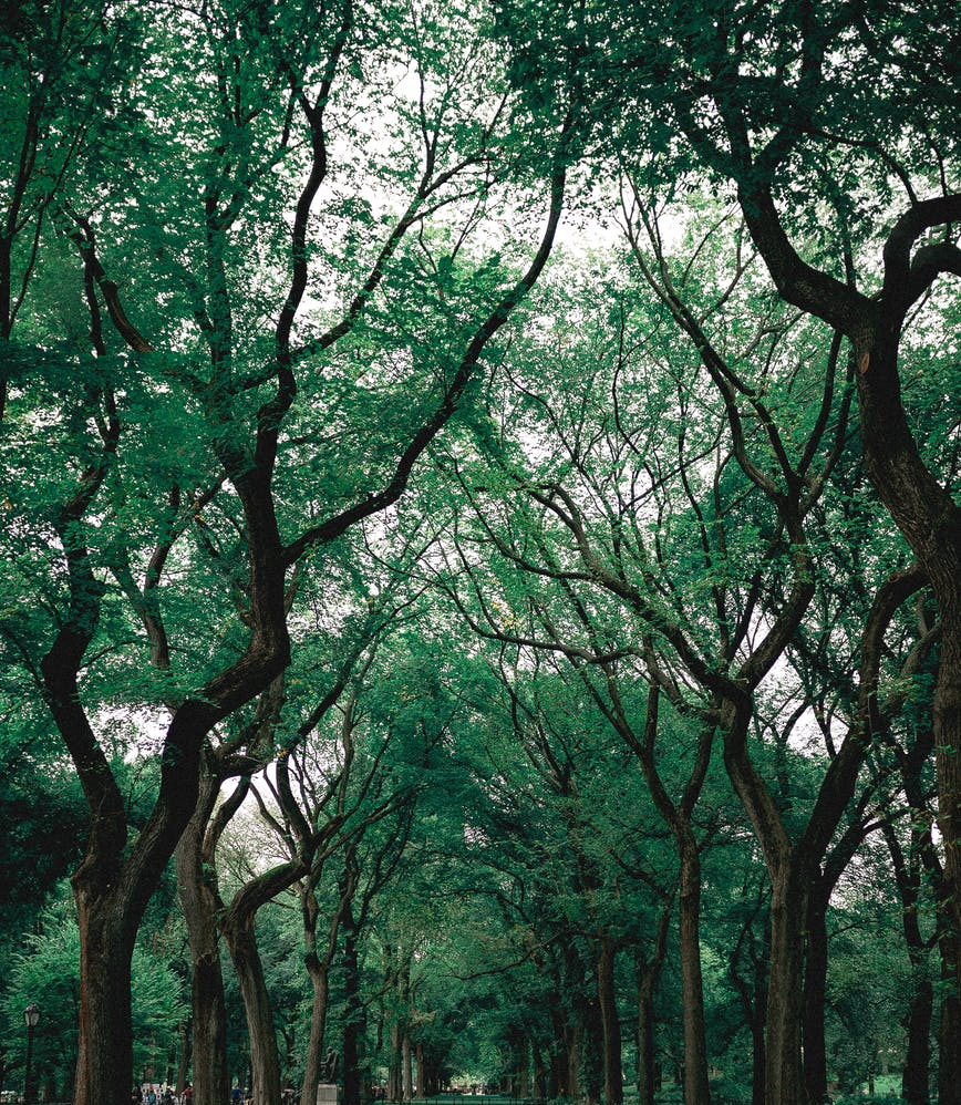 How to – Work with Git Branches in Visual Studio&nbsp;2019