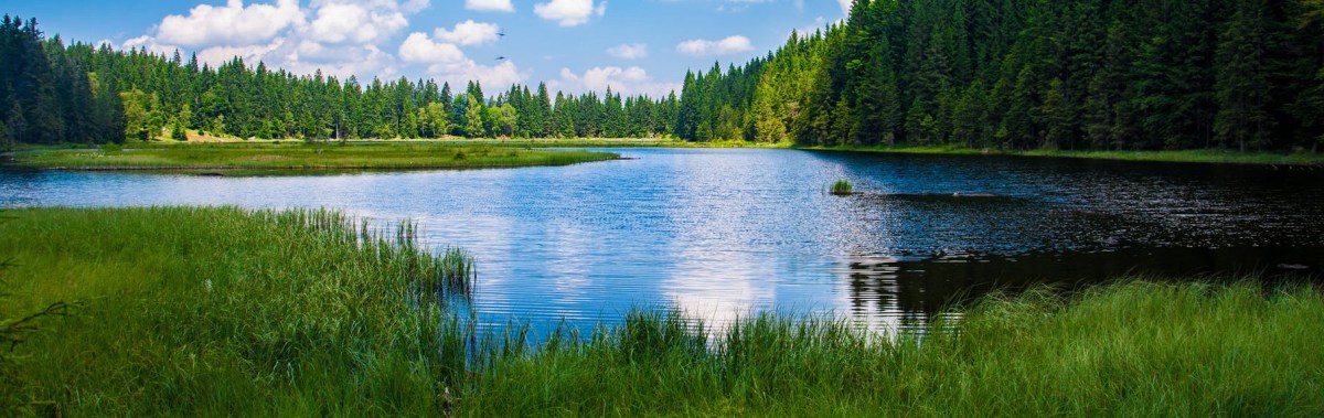 Azure Synapse Link / Export to Data Lake Service – Performance (initial&nbsp;sync)