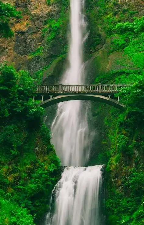 Using addProperty to dynamically add a custom property to a JSON object – Power&nbsp;Automate