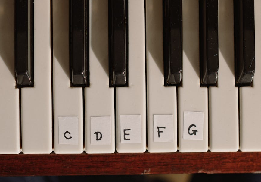 Change Choice / OptionSet value’s text/label using JavaScript    – Dataverse / Dynamics&nbsp;365