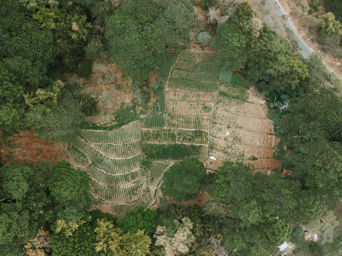 Renaming Sitemap Display Name in Dataverse / Dynamics&nbsp;365